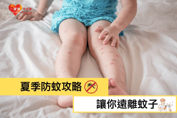 香港夏季防蚊攻略 讓你遠離蚊子